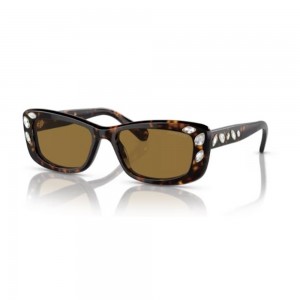 occhiali-da-sole-swarovski-sk6008-100273-54-17-140-donna-havana-scuro-lenti-brown