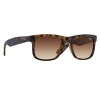 ray-ban-justin-0rb4165-710/13-55-16-rubber-light-havana-01