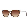 ray-ban-erika-0rb4171-865/13-54-18- rubber-havana-01