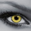lenti-a-contatto-colorate-mensili-queen-s-trilogy-yellow